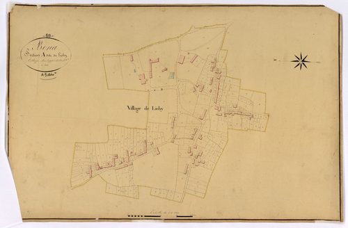 Bona, cadastre ancien : plan parcellaire de la section A dite de Lichy, feuille 3, développement