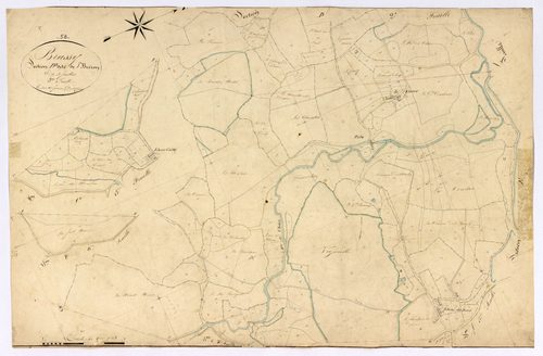 Brassy, cadastre ancien : plan parcellaire de la section D dite de Brizon, feuille 3