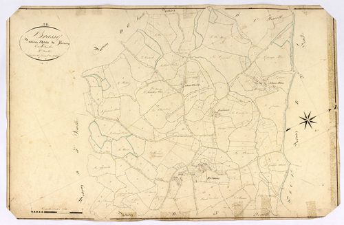 Brassy, cadastre ancien : plan parcellaire de la section D dite de Brizon, feuille 2