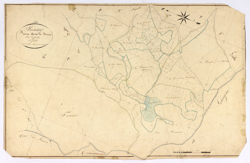 Brassy, cadastre ancien : plan parcellaire de la section D dite de Brizon, feuille 5