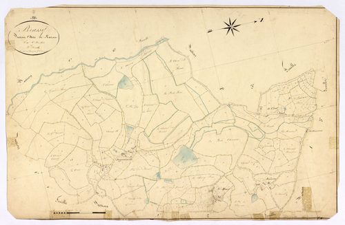 Brassy, cadastre ancien : plan parcellaire de la section C dite de Razou, feuille 3