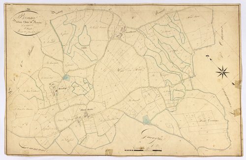 Brassy, cadastre ancien : plan parcellaire de la section C dite de Razou, feuille 5