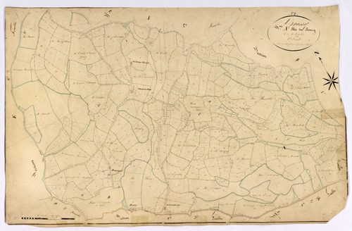 Brassy, cadastre ancien : plan parcellaire de la section A dite du Bourg, feuille 3