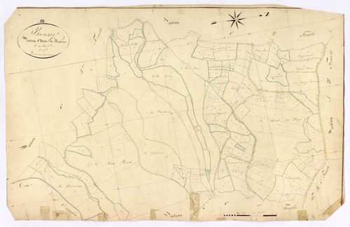 Brassy, cadastre ancien : plan parcellaire de la section C dite de Razou, feuille 2