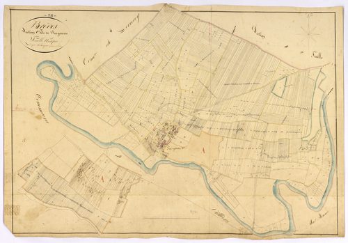 Brèves, cadastre ancien : plan parcellaire de la section C dite de Suryonne