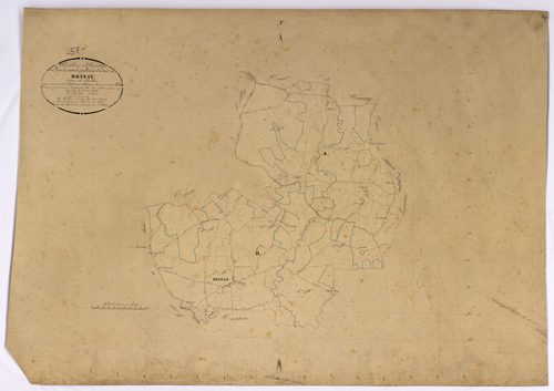 Brinay, cadastre ancien : tableau d'assemblage