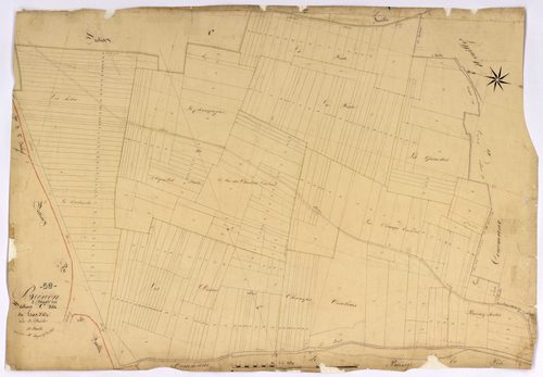 Brinon-sur-Beuvron, cadastre ancien : plan parcellaire de la section C dite du Lion d'Or, feuille 3
