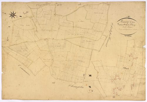 Bussy-la-Pesle, cadastre ancien : plan parcellaire de la section B dite de Thory