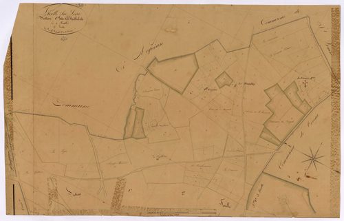 La Celle-sur-Loire, cadastre ancien : plan parcellaire de la section C dite des Berthelots, feuille 1