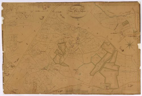 La Celle-sur-Loire, cadastre ancien : plan parcellaire de la section B dite des Chagnons, feuille 3