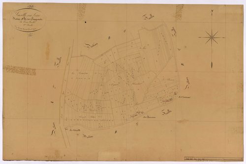 La Celle-sur-Loire, cadastre ancien : plan parcellaire de la section B dite des Chagnons, feuille 2
