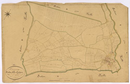Cervon, cadastre ancien : plan parcellaire de la section D dite de Certaine, feuille 1