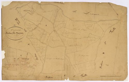 Cervon, cadastre ancien : plan parcellaire de la section A dite de Doussas, feuille 1