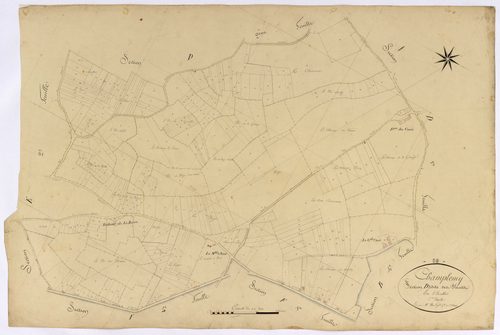 Champlemy, cadastre ancien : plan parcellaire de la section D dite des Plauts, feuille 3