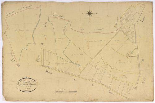 Champlemy, cadastre ancien : plan parcellaire de la section B dite de Champlemy, feuille 5