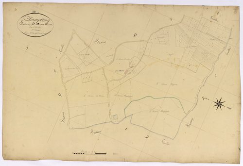 Champlemy, cadastre ancien : plan parcellaire de la section D dite des Plauts, feuille 2