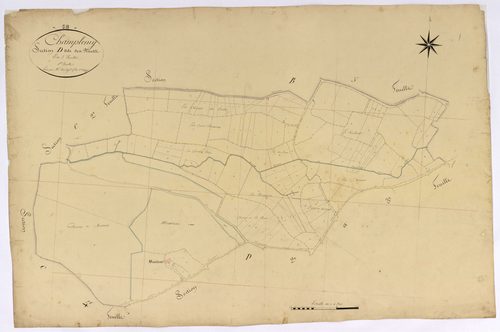 Champlemy, cadastre ancien : plan parcellaire de la section D dite des Plauts, feuille 1