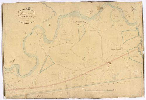 Champvert, cadastre ancien : plan parcellaire de la section C dite de Fougère, feuille 5