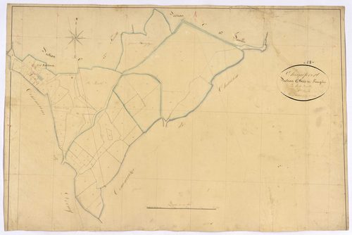 Champvert, cadastre ancien : plan parcellaire de la section C dite de Fougère, feuille 8