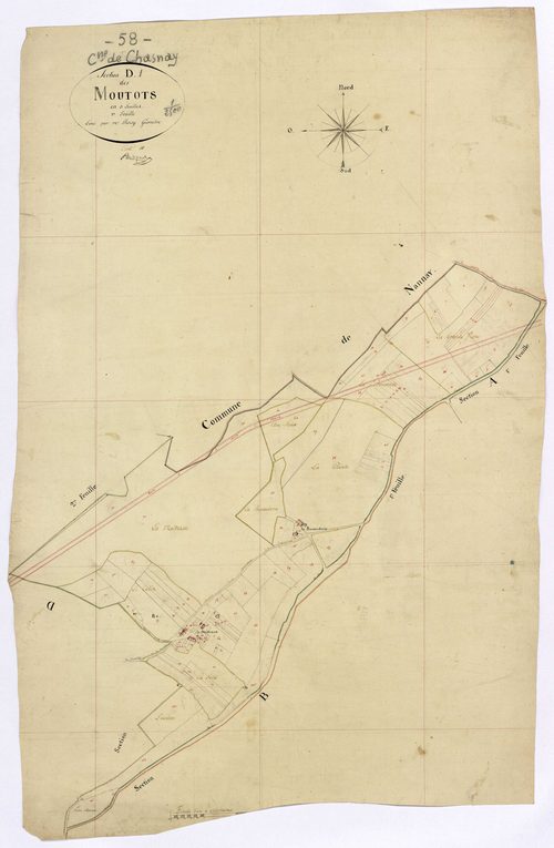 Chasnay, cadastre ancien : plan parcellaire de la section D dite des Moutots, feuille 1