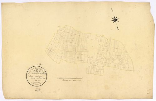 Châteauneuf-Val-de-Bargis, cadastre ancien : plan parcellaire de la section D dite de Fonfaye, feuille 2, développement