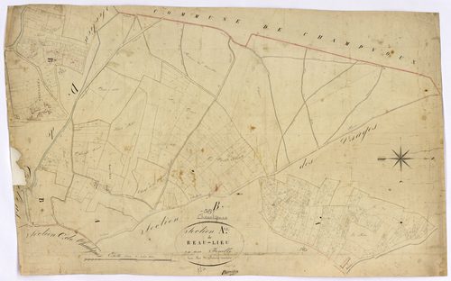 Chaulgnes, cadastre ancien : plan parcellaire de la section A dite de Beau-Lieu