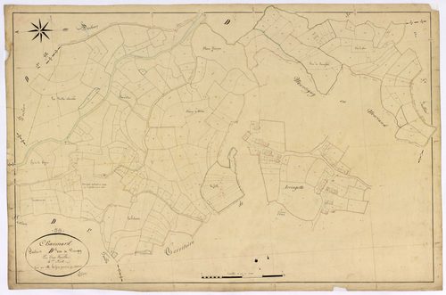 Chaumard, cadastre ancien : plan parcellaire de la section D dite de Visingy, feuille 4