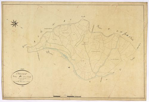 Chaumard, cadastre ancien : plan parcellaire de la section D dite de Visingy, feuille 2