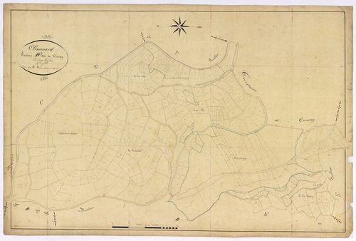 Chaumard, cadastre ancien : plan parcellaire de la section D dite de Visingy, feuille 3