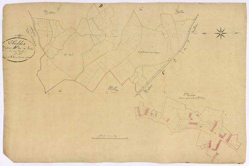 Chiddes, cadastre ancien : plan parcellaire de la section D dite de Las, feuille 5