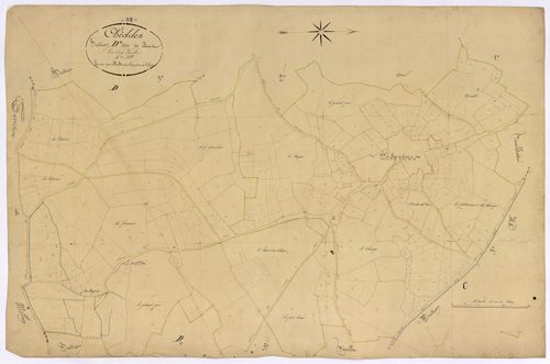 Chiddes, cadastre ancien : plan parcellaire de la section D dite de Las, feuille 4