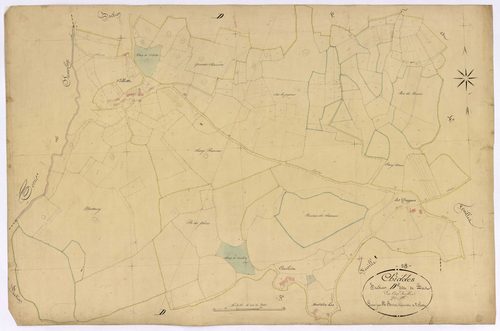 Chiddes, cadastre ancien : plan parcellaire de la section D dite de Las, feuille 2