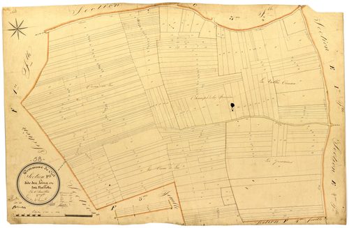 Ciez, cadastre ancien : plan parcellaire de la section F dite des Foins et des Nalots, feuille 2