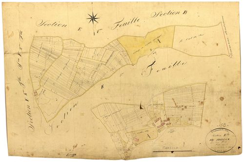 Ciez, cadastre ancien : plan parcellaire de la section E dite de Vrillon, feuille 2