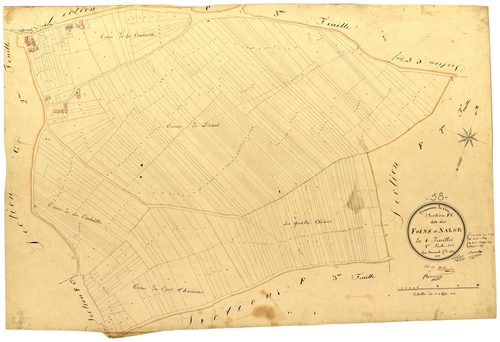 Ciez, cadastre ancien : plan parcellaire de la section F dite des Foins et des Nalots, feuille 1