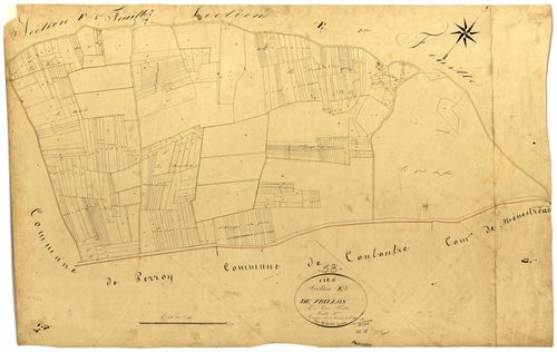 Ciez, cadastre ancien : plan parcellaire de la section E dite de Vrillon, feuille 3