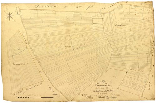 Ciez, cadastre ancien : plan parcellaire de la section F dite des Foins et des Nalots, feuille 3