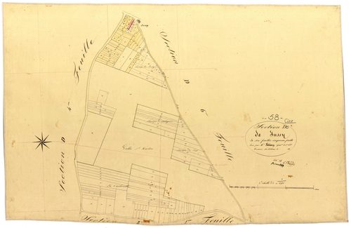 Ciez, cadastre ancien : plan parcellaire de la section D dite de Jussy, feuille 5
