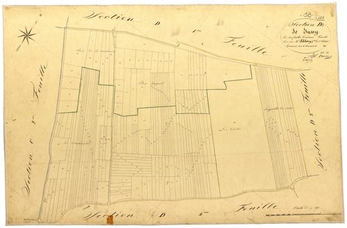 Ciez, cadastre ancien : plan parcellaire de la section D dite de Jussy, feuille 3