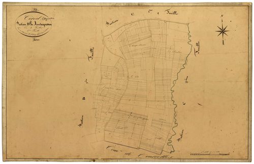 Corvol-l'Orgueilleux, cadastre ancien : plan parcellaire de la section D dite de Montagousseau, feuille 2