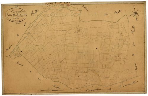 Corvol-l'Orgueilleux, cadastre ancien : plan parcellaire de la section D dite de Montagousseau, feuille 1