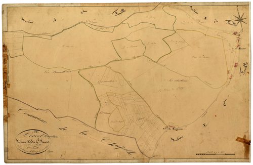 Corvol-l'Orgueilleux, cadastre ancien : plan parcellaire de la section E dite du Grand Sauset, feuille 3