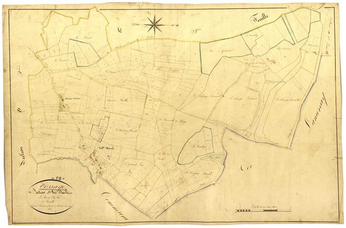 Cossaye, cadastre ancien : plan parcellaire de la section D dite des Ouillières, feuille 1