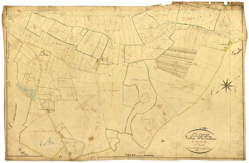 Cossaye, cadastre ancien : plan parcellaire de la section D dite des Ouillières, feuille 3