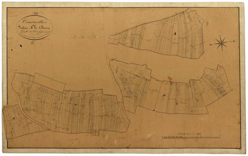 Courcelles, cadastre ancien : plan parcellaire de la section A dite de Chivre, feuille 1, développement