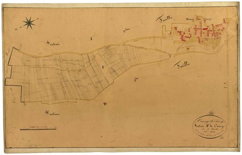 Cuncy-lès-Varzy, cadastre ancien : plan parcellaire de la section A dite de Cuncy, feuille 3