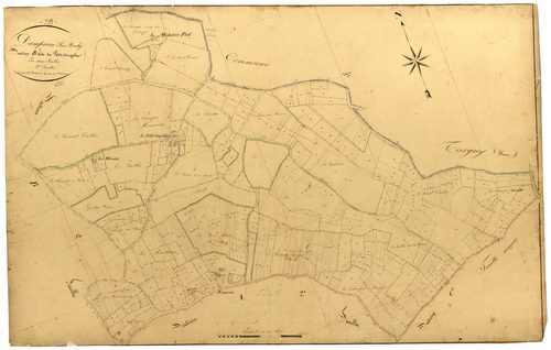 Dampierre-sous-Bouhy, cadastre ancien : plan parcellaire de la section B dite du Petit Angelier, feuille 2