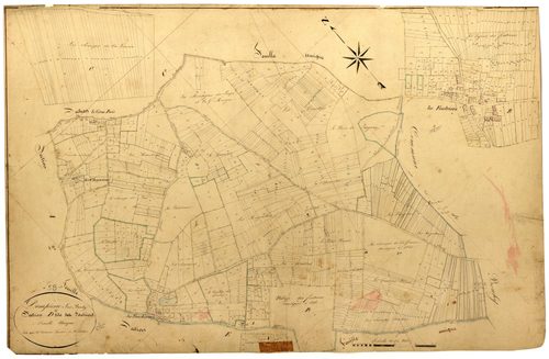 Dampierre-sous-Bouhy, cadastre ancien : plan parcellaire de la section D dite des Foutriers