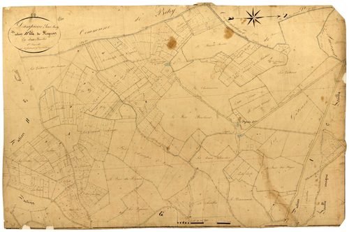 Dampierre-sous-Bouhy, cadastre ancien : plan parcellaire de la section H dite de Rognon, feuille 1