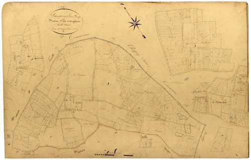 Dampierre-sous-Bouhy, cadastre ancien : plan parcellaire de la section C dite d'Angelier